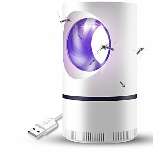 170269894026F3B864-D9D8-4C7C-ADFA-DFF89DAADAA6 1